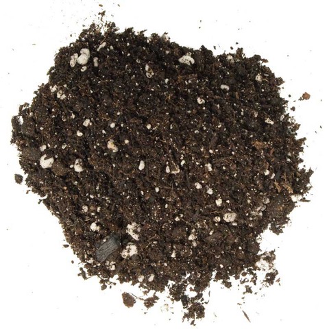 Perlite: It's Like Popcorn for Your Potting Soil!